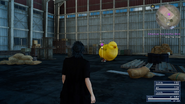 Yjhimei stuck under a chocobo in FFXV