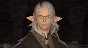 FFXIV Briardien