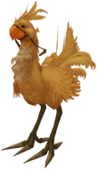 Chocobo (Final Fantasy X) | Final Fantasy Wiki | Fandom