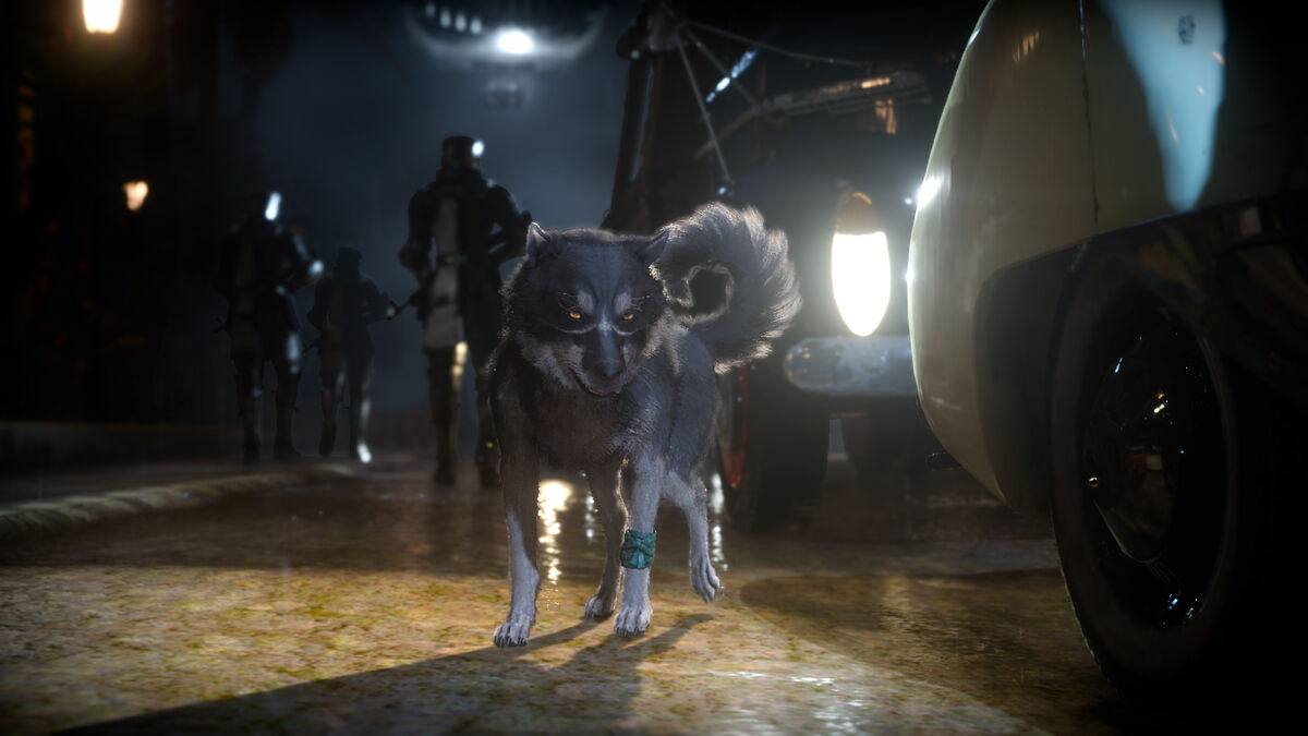 Dog Animal Final Fantasy Wiki Fandom Dog Animal Final Fantasy Wiki Fandom