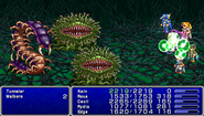 Final Fantasy IV (PSP).