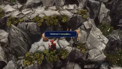 WoFF Hidden Dungeon Remedy+