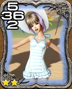 486a Resort Echo.png (161 KB)