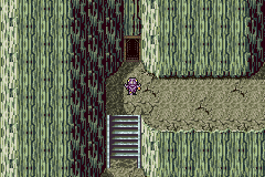 Mt. Hobs (GBA).