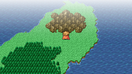 Matoya's Cave on the overworld (PSP).