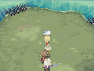 Star Chamber Entrance.png (14 KB) Star Chamber entrance.