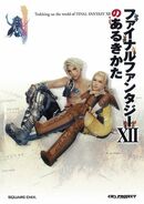 Final Fantasy XII Arukikata