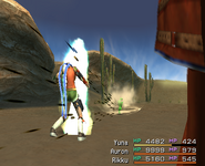 FFX 10000 needles.png (251 KB) Final Fantasy X (PS2).