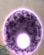 VagrantSoul FFXII.jpg (106 KB) Vagrant Soul