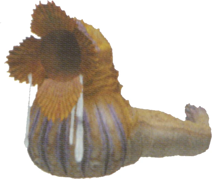 Sand Worm (Final Fantasy X2) Final Fantasy Wiki Fandom