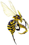 Wasp