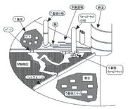 Midgar slums layout for Final Fantasy VII.