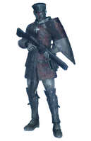 Имперский кирасир