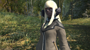 FFXIV ShB Alaqa conjurer