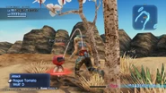 Rogue Tomato from FFXIIZA.jpg (289 KB)