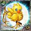 The Knights of Avalon - Chocobo