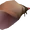 Conch Shell