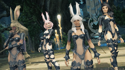 Viera Final Fantasy Xiv Final Fantasy Wiki Fandom