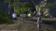 FFXIV Skirmish Elm 2