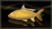 Gold Lucian Carp.jpg