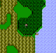 Entrance to Tozas on the World Map (NES).