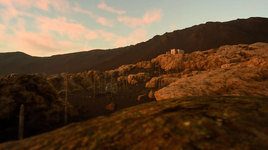 The ruins