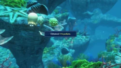 WoFF The Sea Hi-Potion