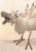 FFXIIWhiteChocobo.jpg (13 KB) Final Fantasy XII.
