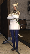 Default A Realm Reborn outfit.