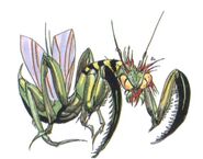 Amano Killer Mantis FFII (color)