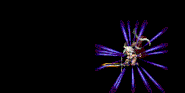FFBE Fencer animation9.gif (83 KB)