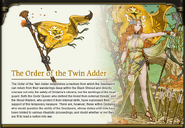 Twin Adder Banner + Art