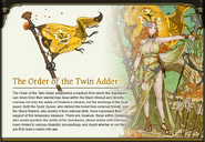 Order of the Twin Adder Artwork by Akihiko Yoshida.