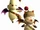 Moogle (Final Fantasy XI)