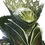 JBergan Icon