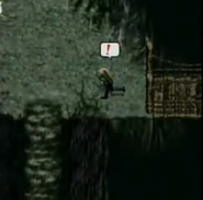 Mt. Nibel peak in Before Crisis -Final Fantasy VII-.