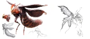 Wamoura FFXI Art.jpg (276 KB) Concept art of a Wamoura.