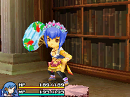 Princess's Tiara in Final Fantasy Crystal Chronicles: Echoes of Time.