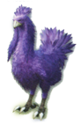 Purple Chocobo