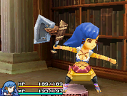 Final Fantasy Crystal Chronicles: Echoes of Time.