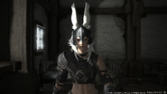 Screenshot from the Male Viera trailer.