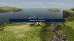 WoFF Hidden Dungeon Half Mega-Potion