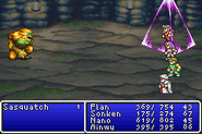 Final Fantasy II (GBA).