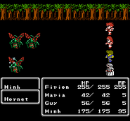 Final Fantasy II (NES).