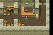 Baron's Inn (GBA).