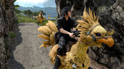 Final Fantasy XV Chocobo