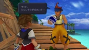 Kingdom Hearts 1.5 HD Remix in-game appearance.