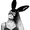 Ariana Grande