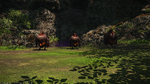 FFXIV Vagrant Harpies
