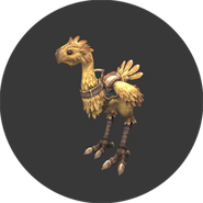 Chocobo Rental (K-8)